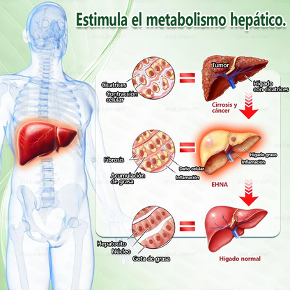 🎁 ¡Solo quedan 5 cajas! ¡Te damos un 50% de descuento extra! Ponte en forma y mantente saludable. Adelgaza ahora; ¡no tendrás otra oportunidad hasta el próximo año!